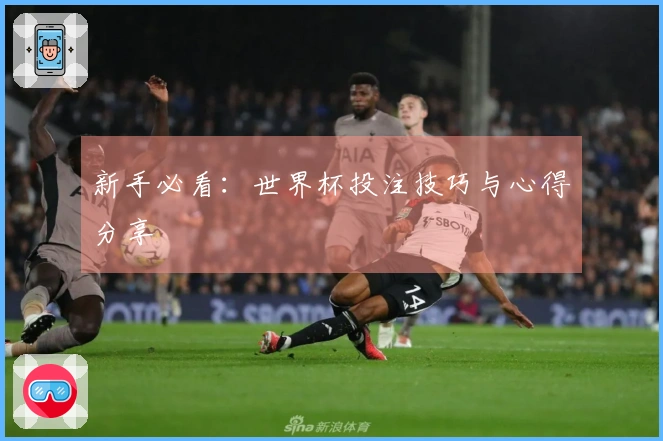 新手必看：世界杯投注技巧与心得分享