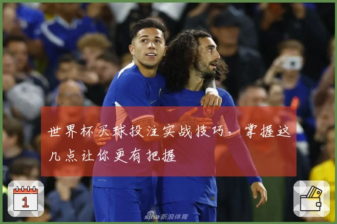 世界杯买球投注实战技巧，掌握这几点让你更有把握