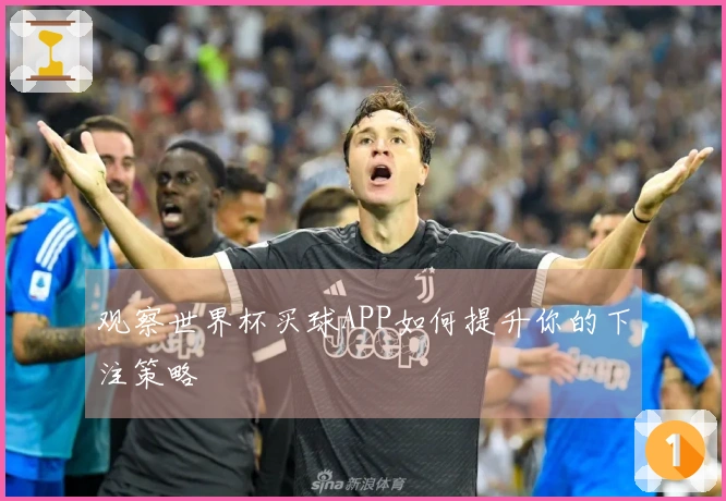 观察世界杯买球APP如何提升你的下注策略
