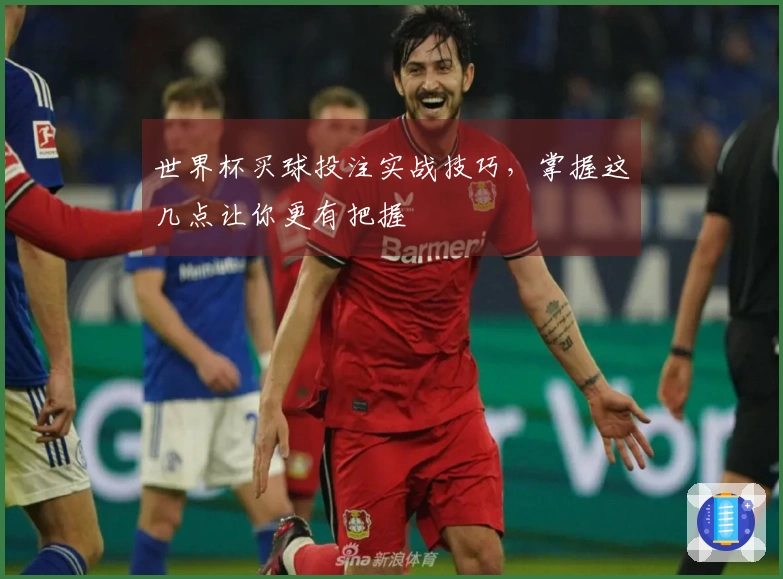 世界杯买球投注实战技巧，掌握这几点让你更有把握